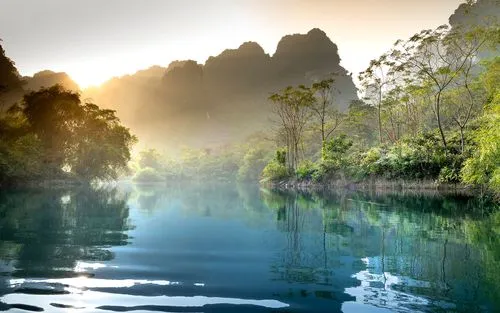 节能绿色全自动